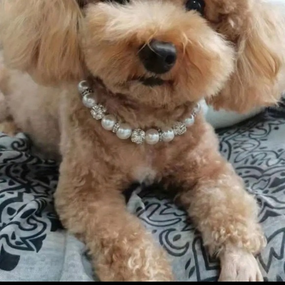 HP🎉NWT DOG NECKLACE - Picture 8 of 10